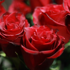 Копия Статья-1